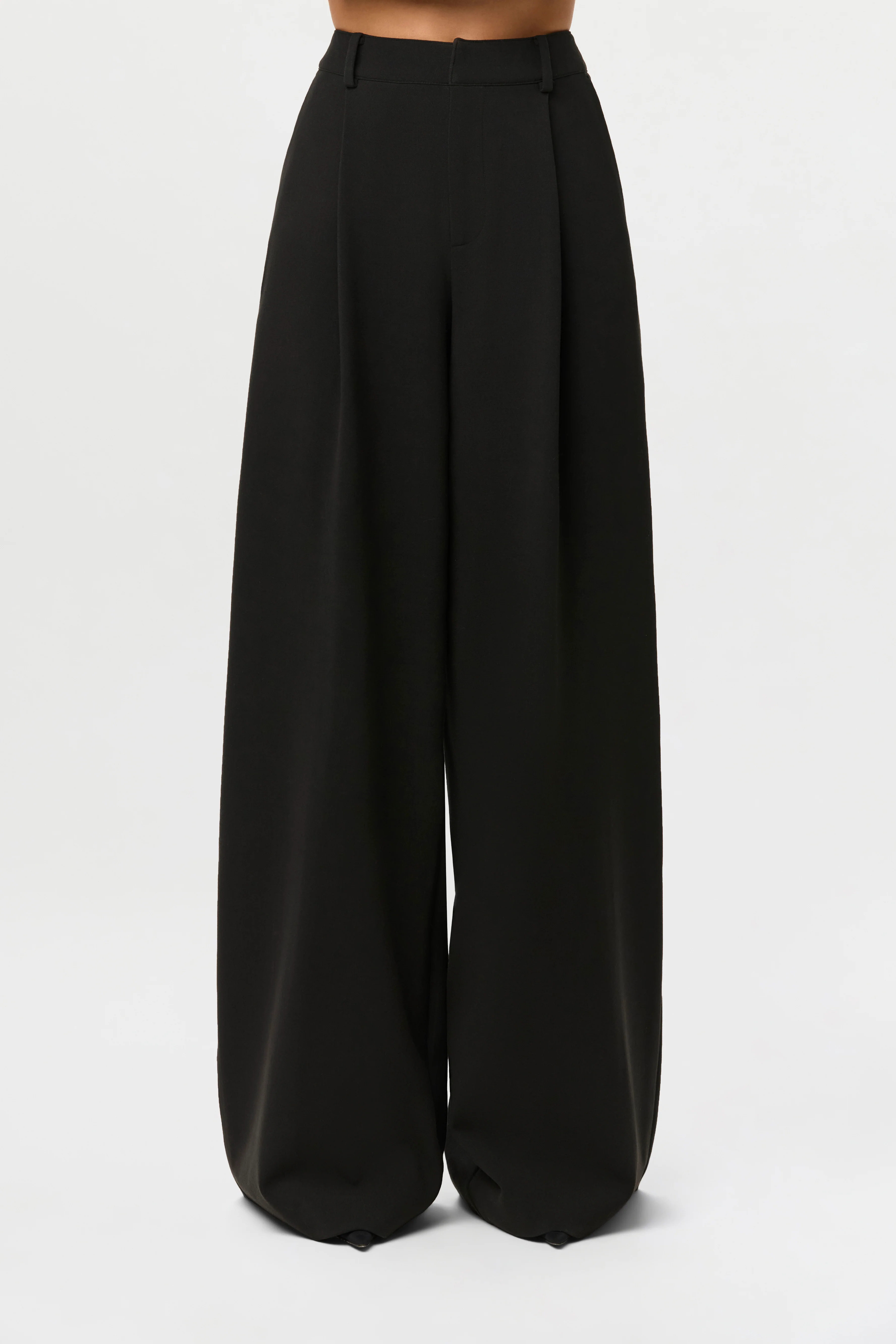 Suiting Wide-Leg Pants - Image 4