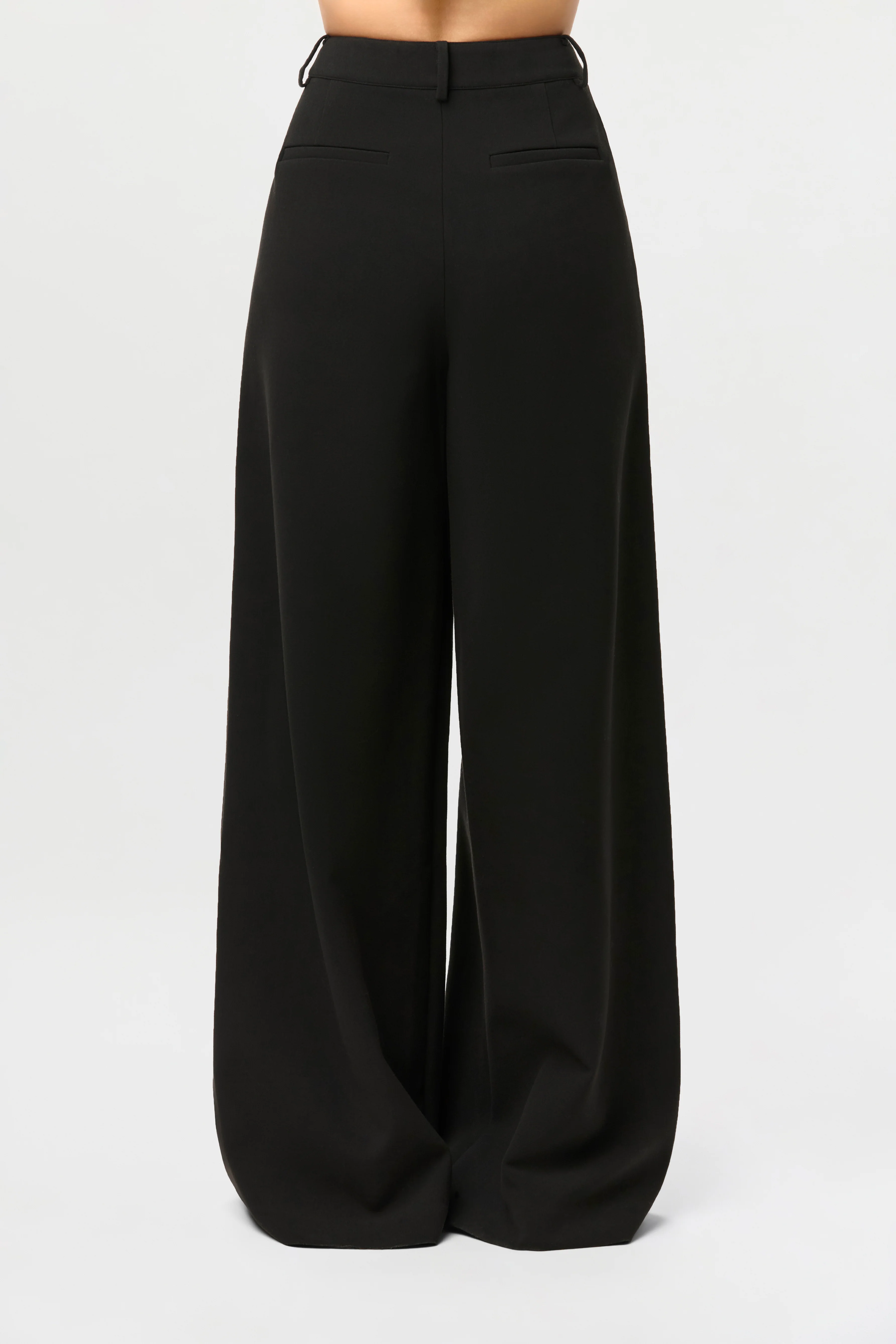 Suiting Wide-Leg Pants - Image 5